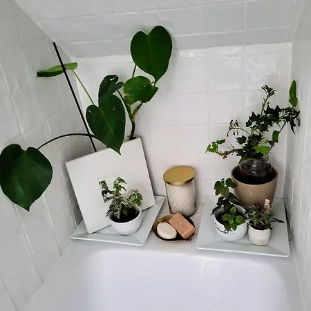 Apartment Ghjoia